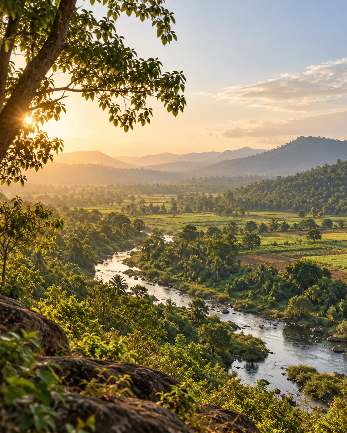 Restoration landscape with river valley and forested terrain at golden hour